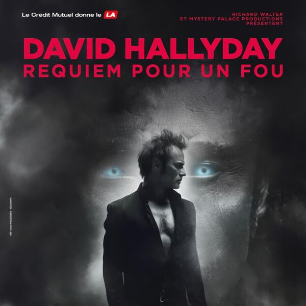 DAVID HALLYDAY